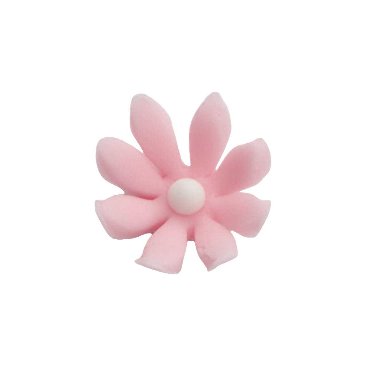Zuckerblume  – Daisy – rosa (100 Stück) – Shantys