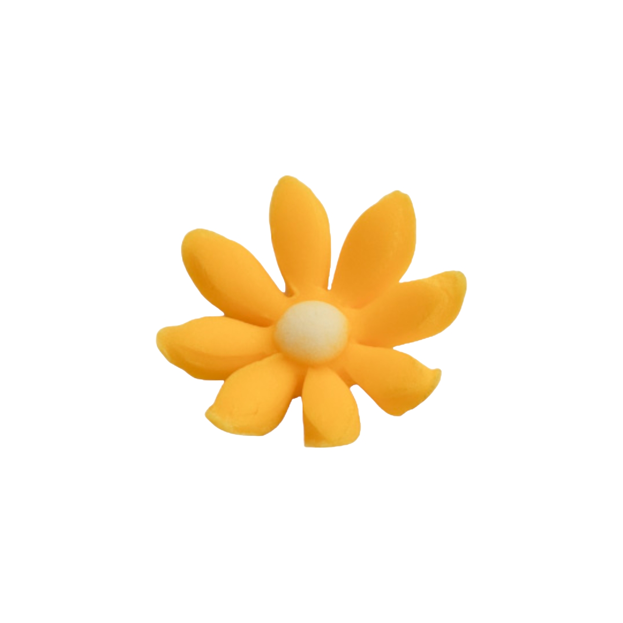 Zuckerblume  – Daisy – gelb (100 Stück) – Shantys